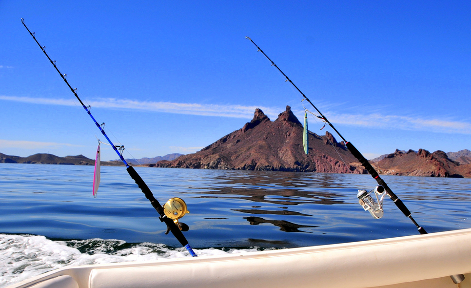 San Carlos fishing Fishing Report December 03, 2013