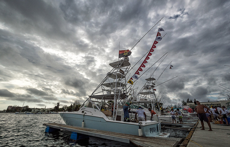 Lobito, Angola: great Sailfish bite Fishing Report - February 22, 2014
