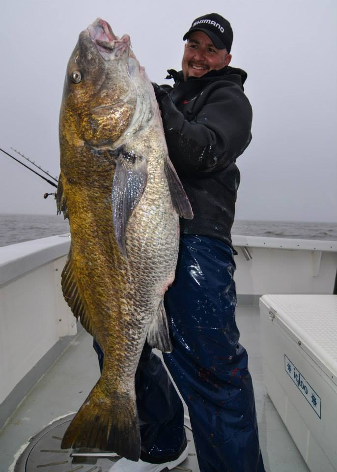 Giant Black Drum! Fishing Report May 15, 2014