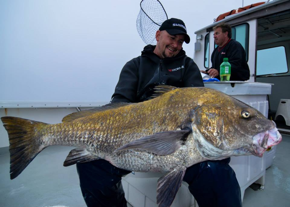 Giant Black Drum! Fishing Report May 15, 2014