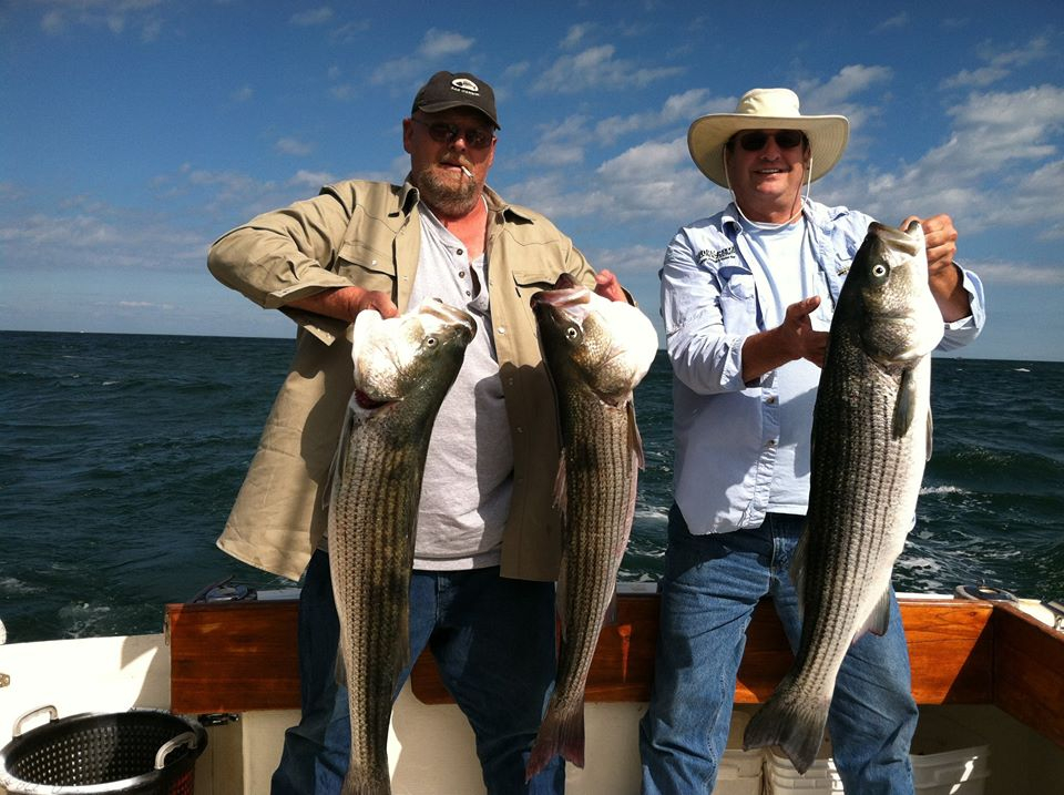 Montauk Stripers Fishing Report August 28, 2014