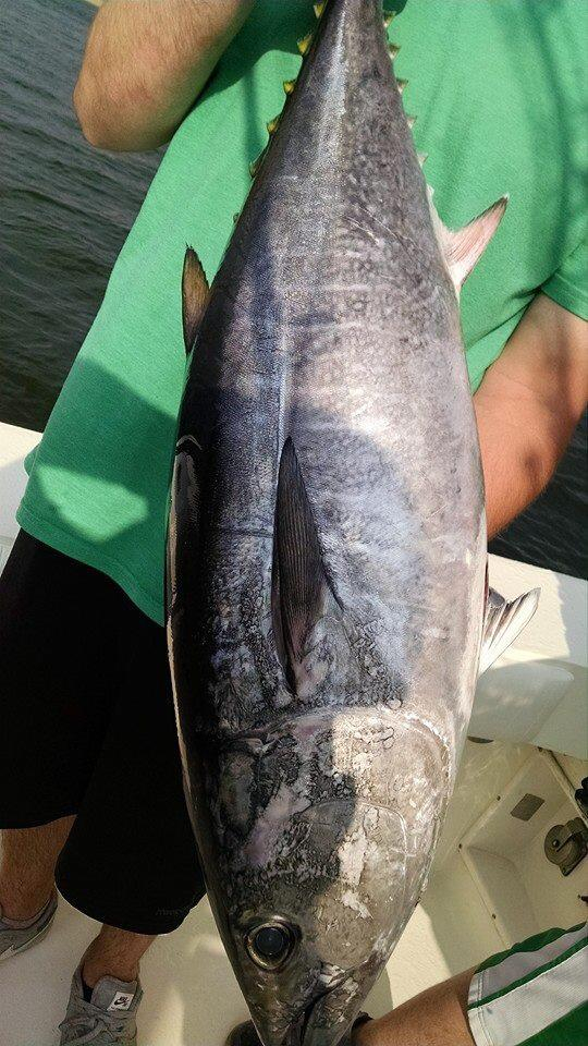 Jersey Devil Tuna Fishing Report August 01, 2014