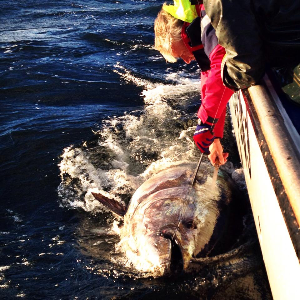 Nova Scotia Grander Fishing Report September 23, 2014