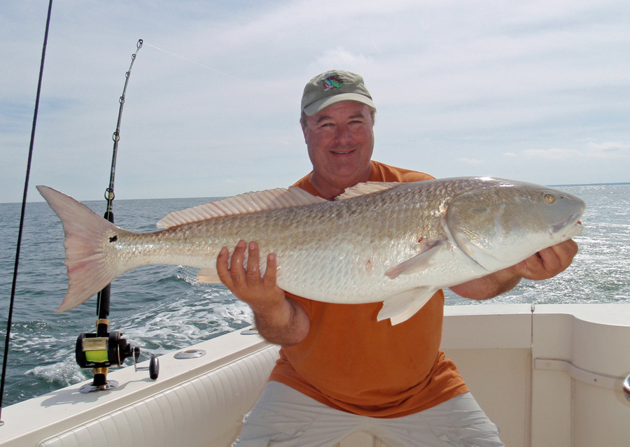King Mackerel Today Fishing Report September 29, 2014