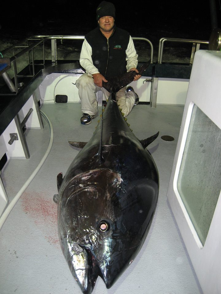 NZ Tuna Trip Fishing Report September 01, 2014