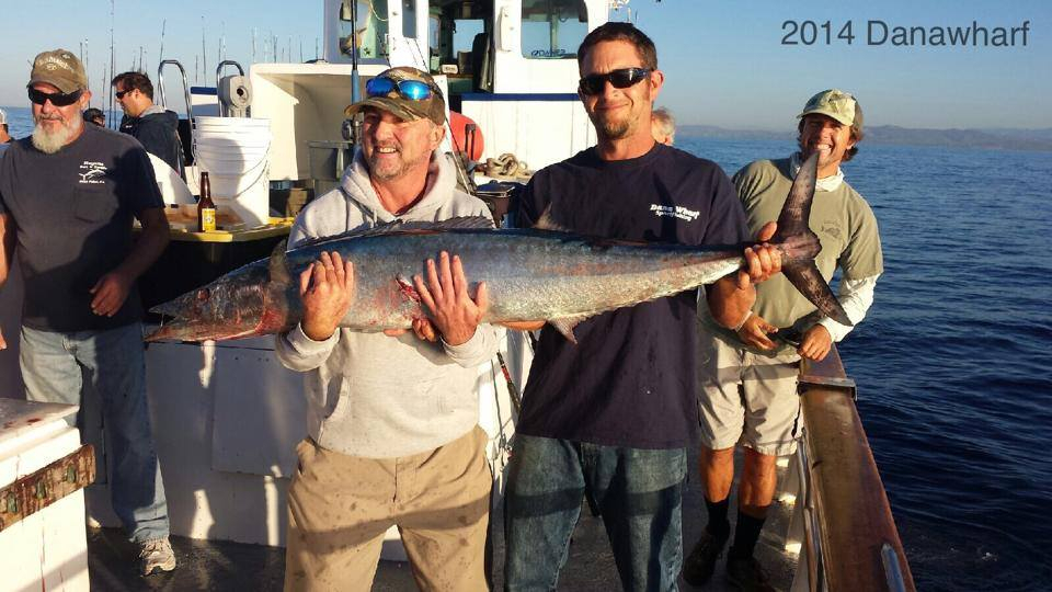 50 lb Wahoo off Dana Point Fishing Report October 24, 2014