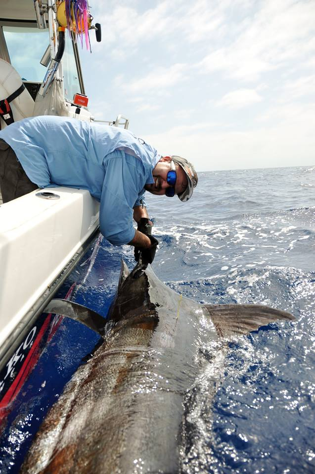 Blue Marin off Botany Bay Fishing Report March 03, 2015