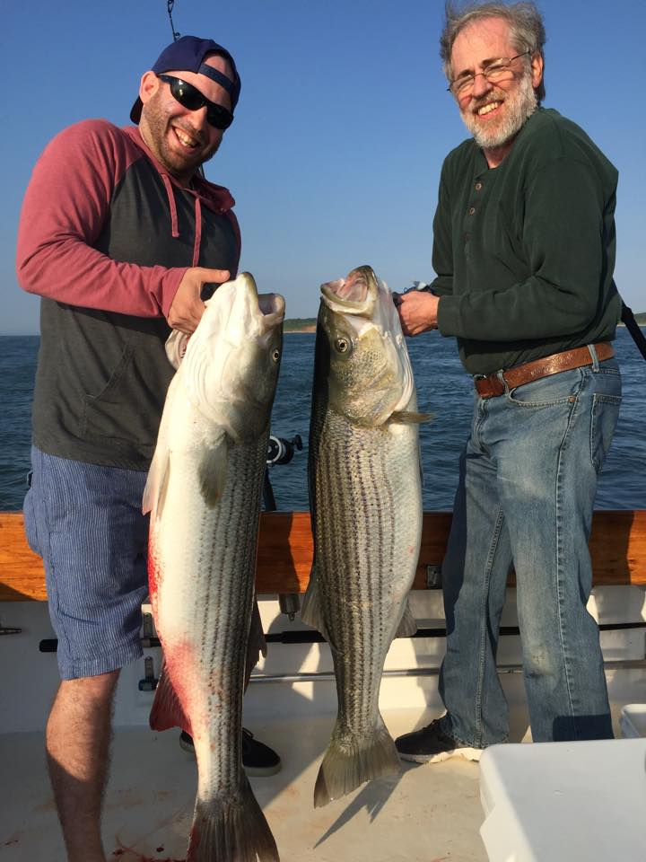 Montauk Striped Bass Fishing Report June 30, 2015