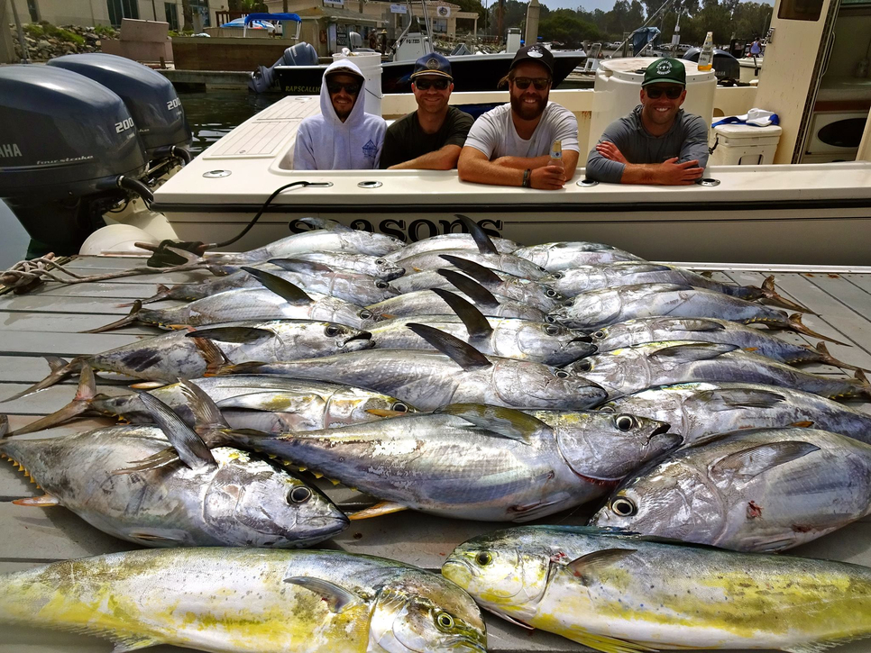 Tuna Limits Fishing Report August 20, 2015