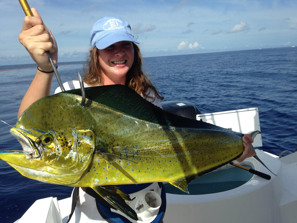 Jupiter Fl Fishing Report September 12, 2015