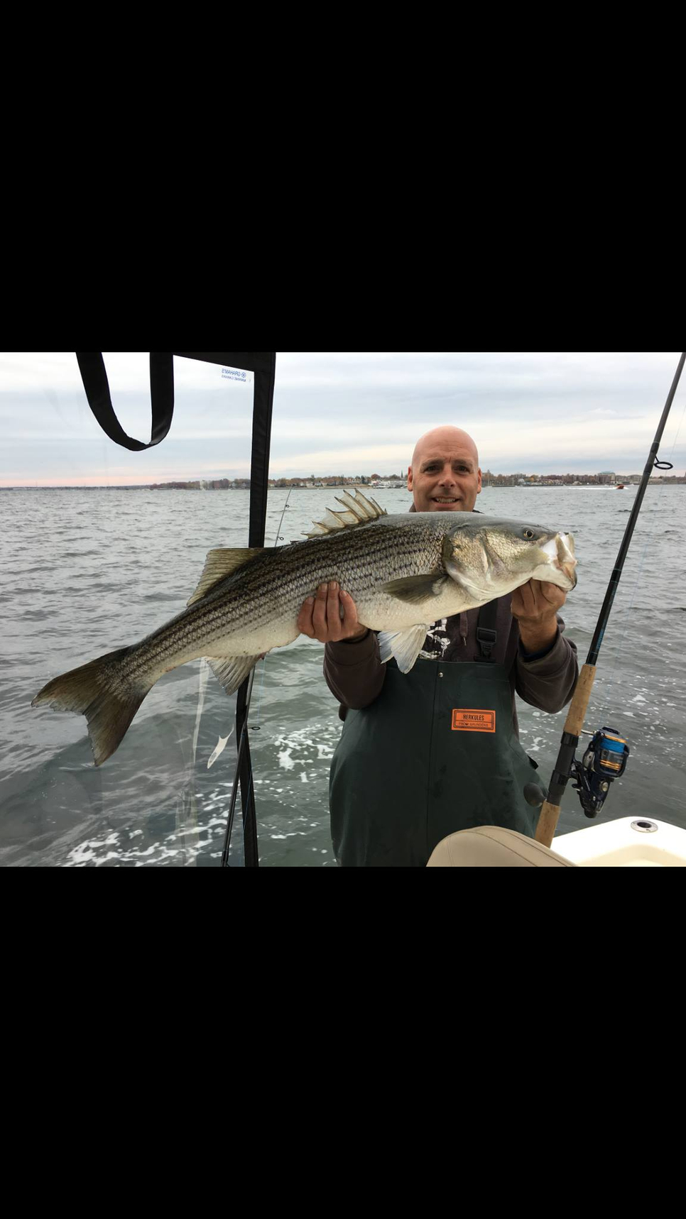 NJ Bass Fishing Report November 11, 2015