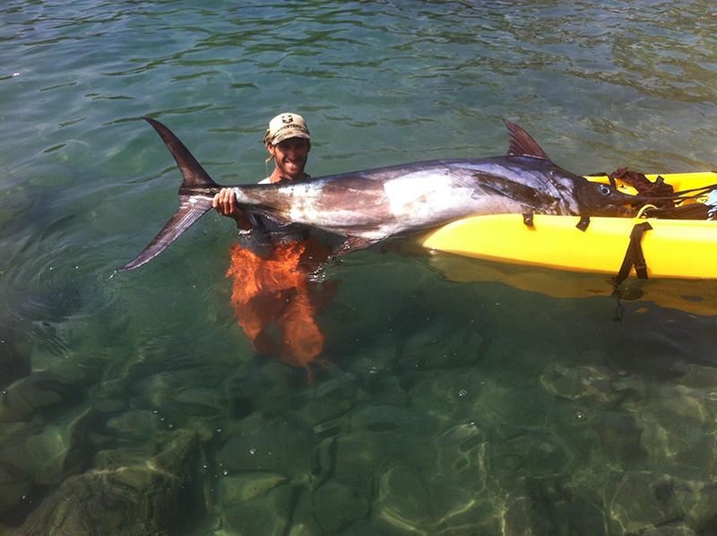 Marlin from a Kayak Fishing Report November 09, 2015