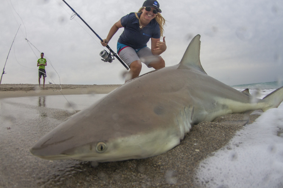 FL Spinner Shark Migration Fishing Report March 03, 2016