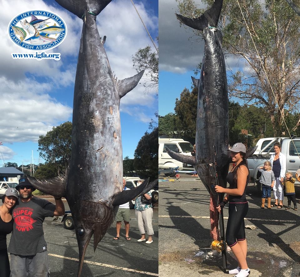 Record Swordfish Fishing Report June 15, 2016