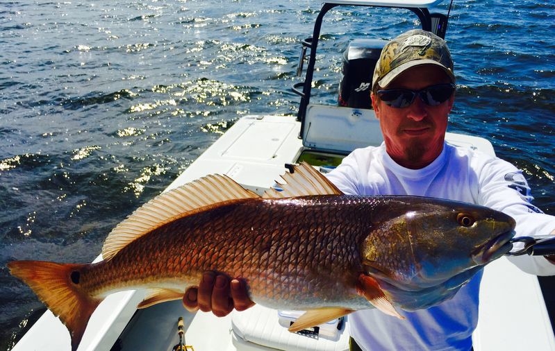 Ready To Enjoy Tampa Bay Fishing Charters With Us Fishing Report
