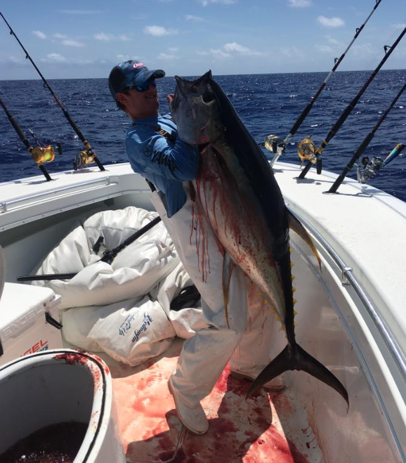 East Florida Yellowfin Tuna Fishing Report April 23, 2017
