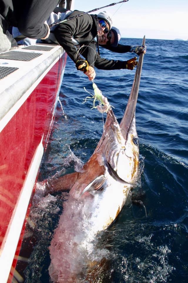 Giant Swordfish Fishing Report April 05, 2017