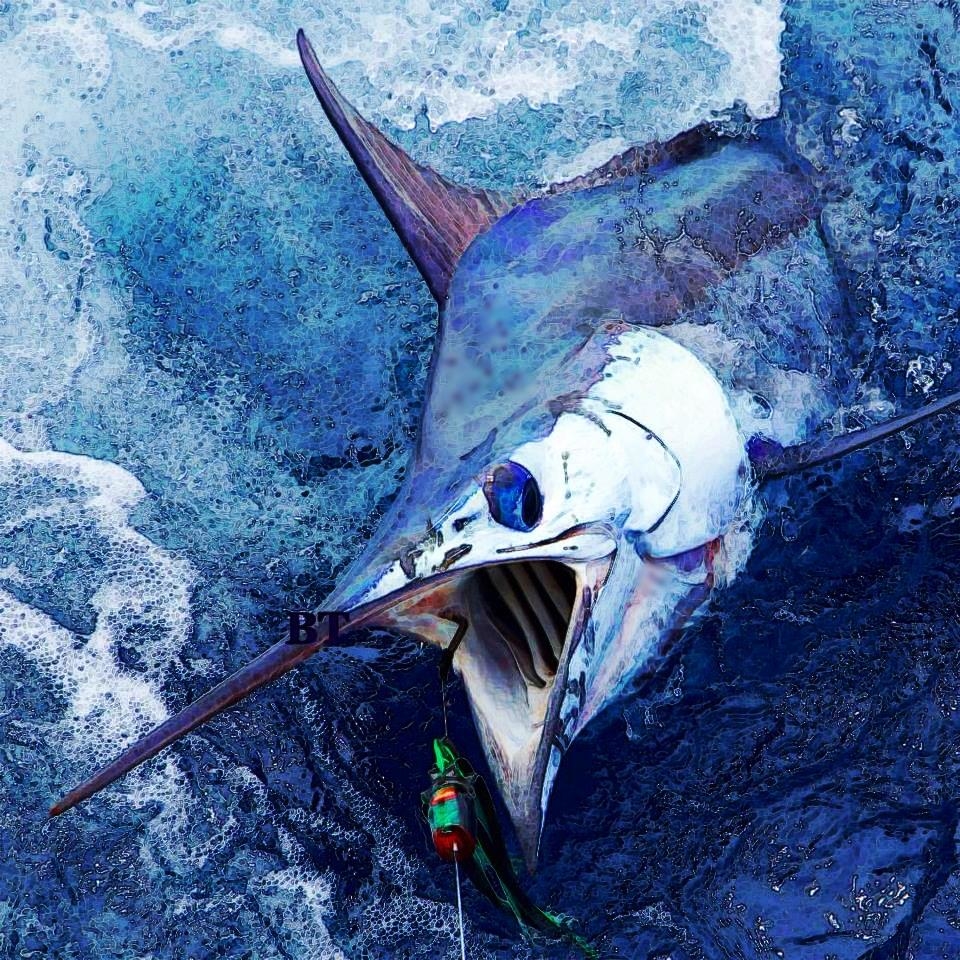 Kona Fishing Tourneys Fishing Report August 07, 2017