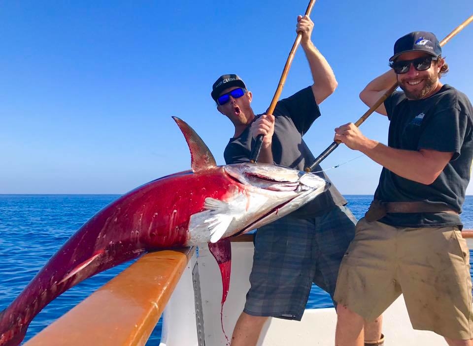 San Diego Tuna Bite is Hot Fishing Report October 11, 2017